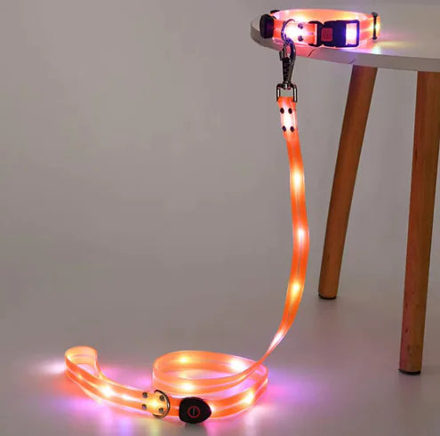 Glow Guard Collar and Leash
