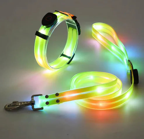 Glow Guard Collar and Leash