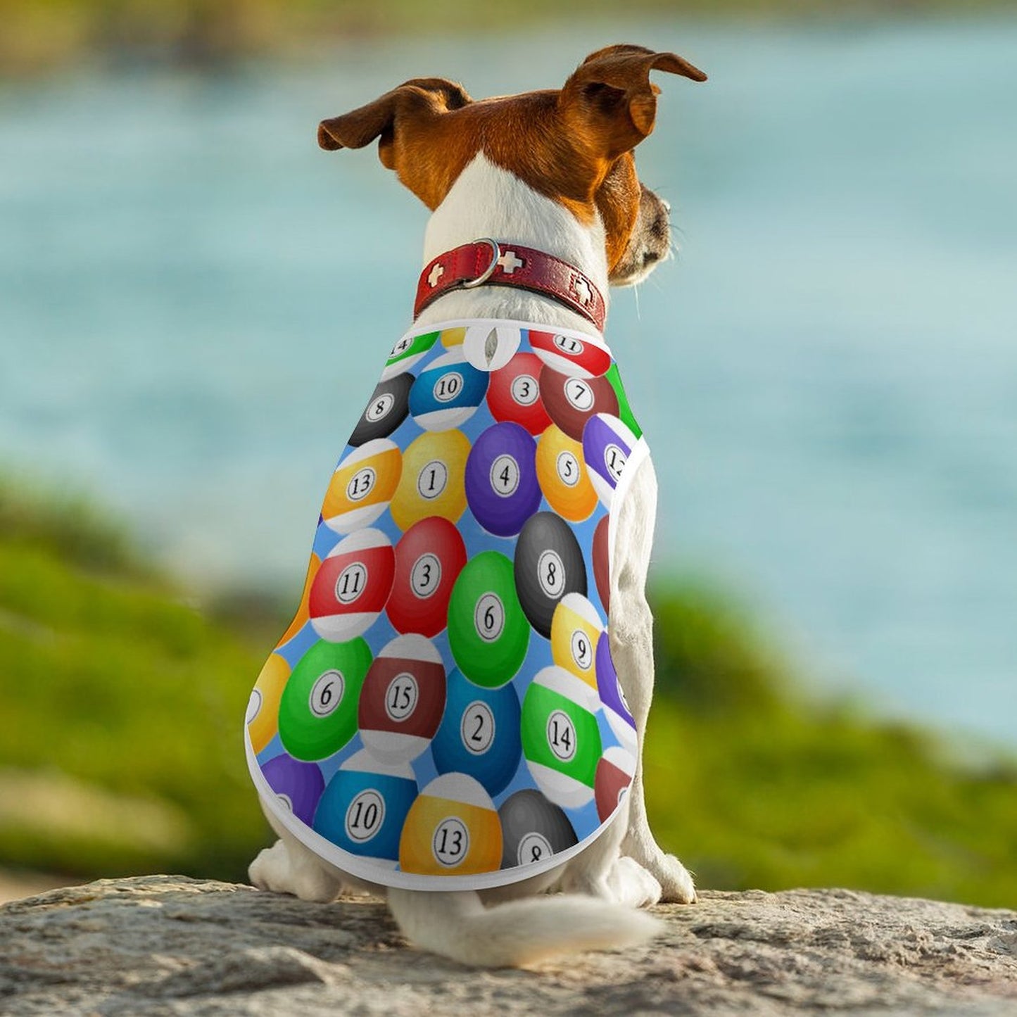 Pool Balls Collection: Custom Dog Vest