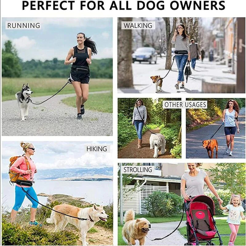 Pet Waist Leash with Purse