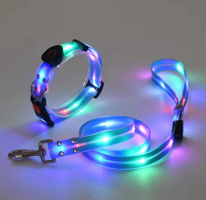 Glow Guard Collar and Leash