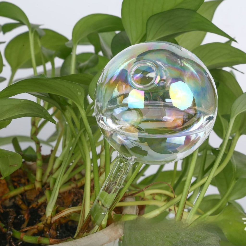 Plant Watering Ball