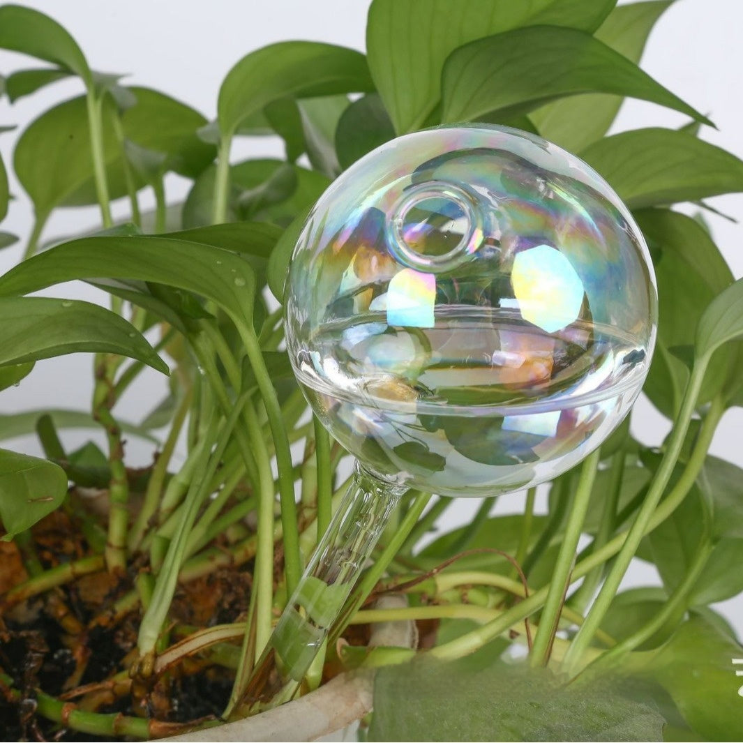 Plant Watering Ball