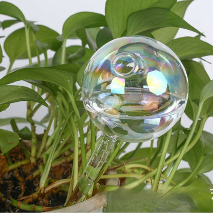 Plant Watering Ball
