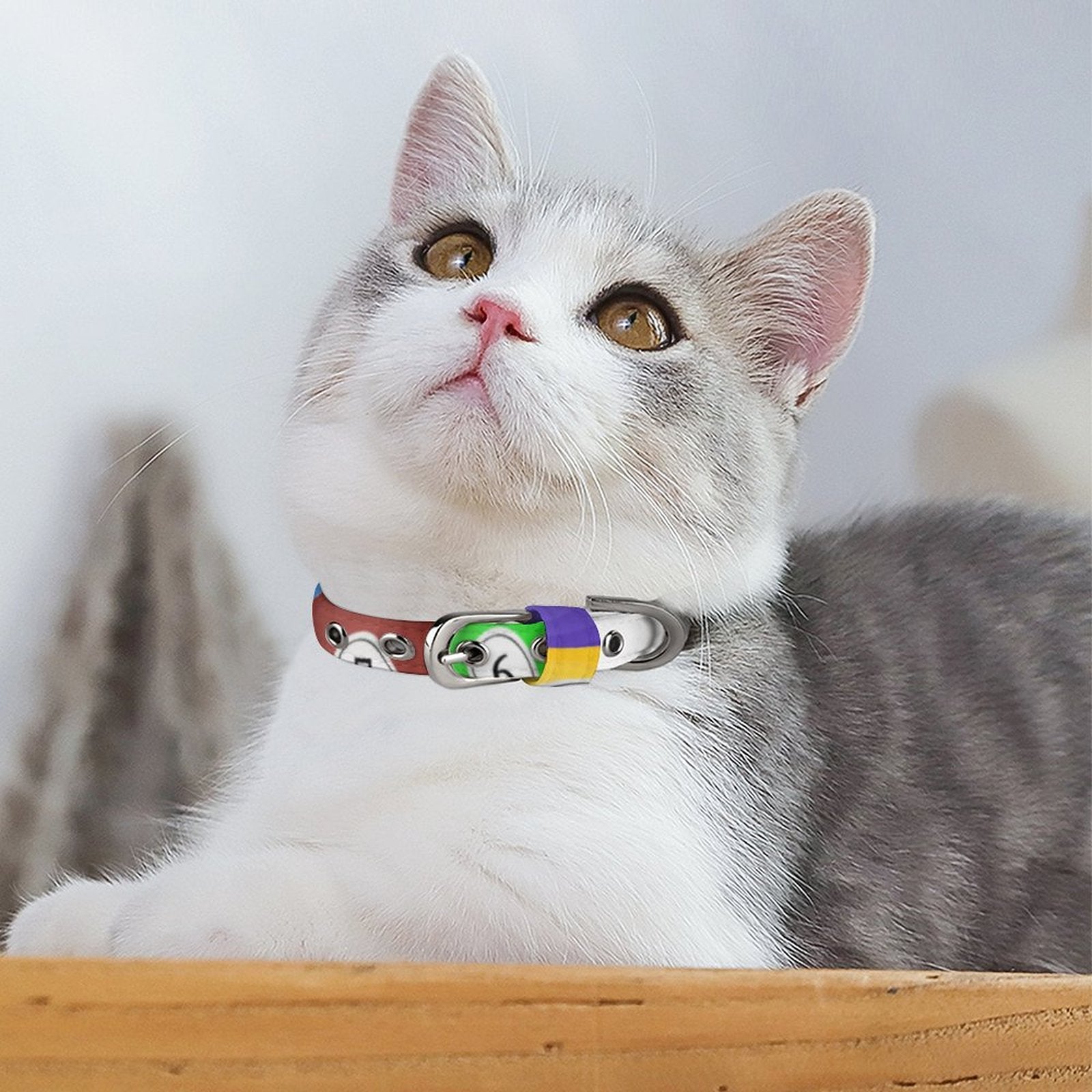 Pool Balls Collection: Oxford Cloth Adjustable Pet Collar