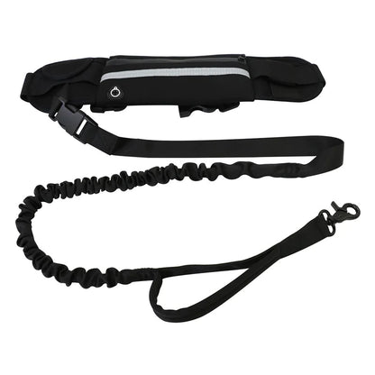 Pet Waist Leash with Purse
