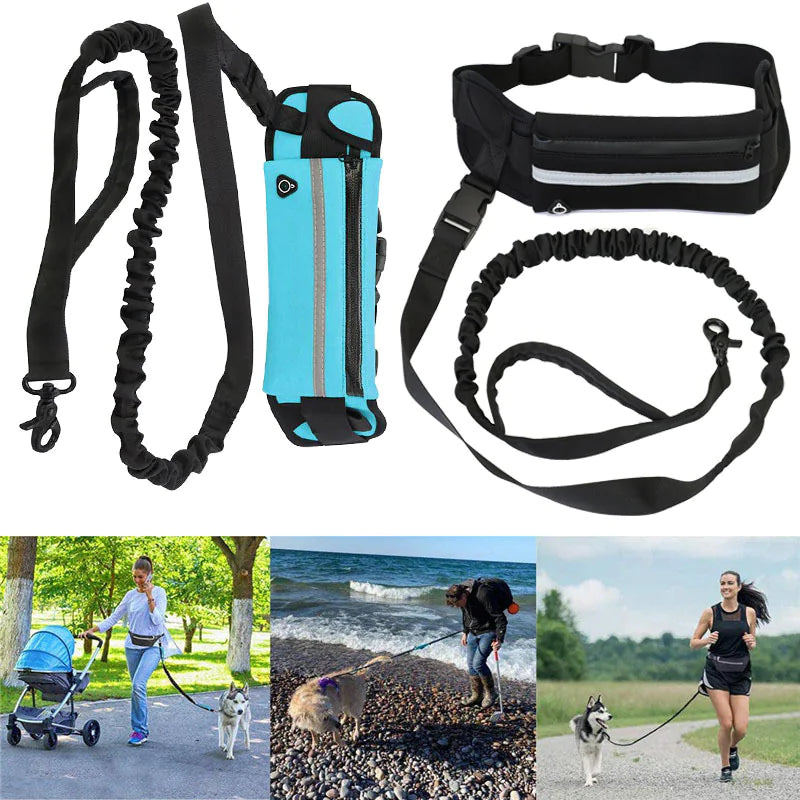 Pet Waist Leash with Purse