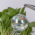 Plant Watering Ball