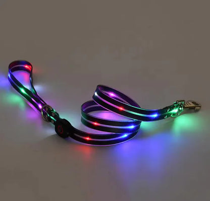 Glow Guard Collar and Leash
