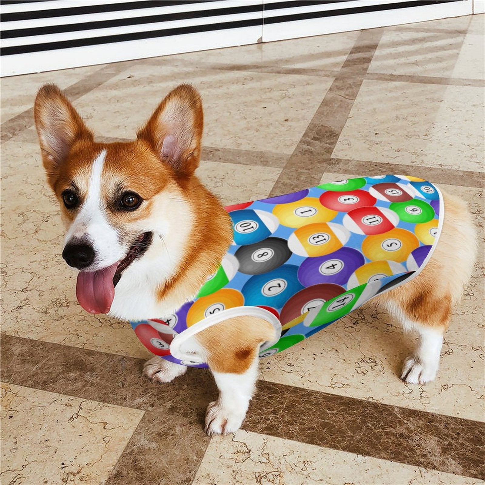 Pool Balls Collection: Custom Dog Vest