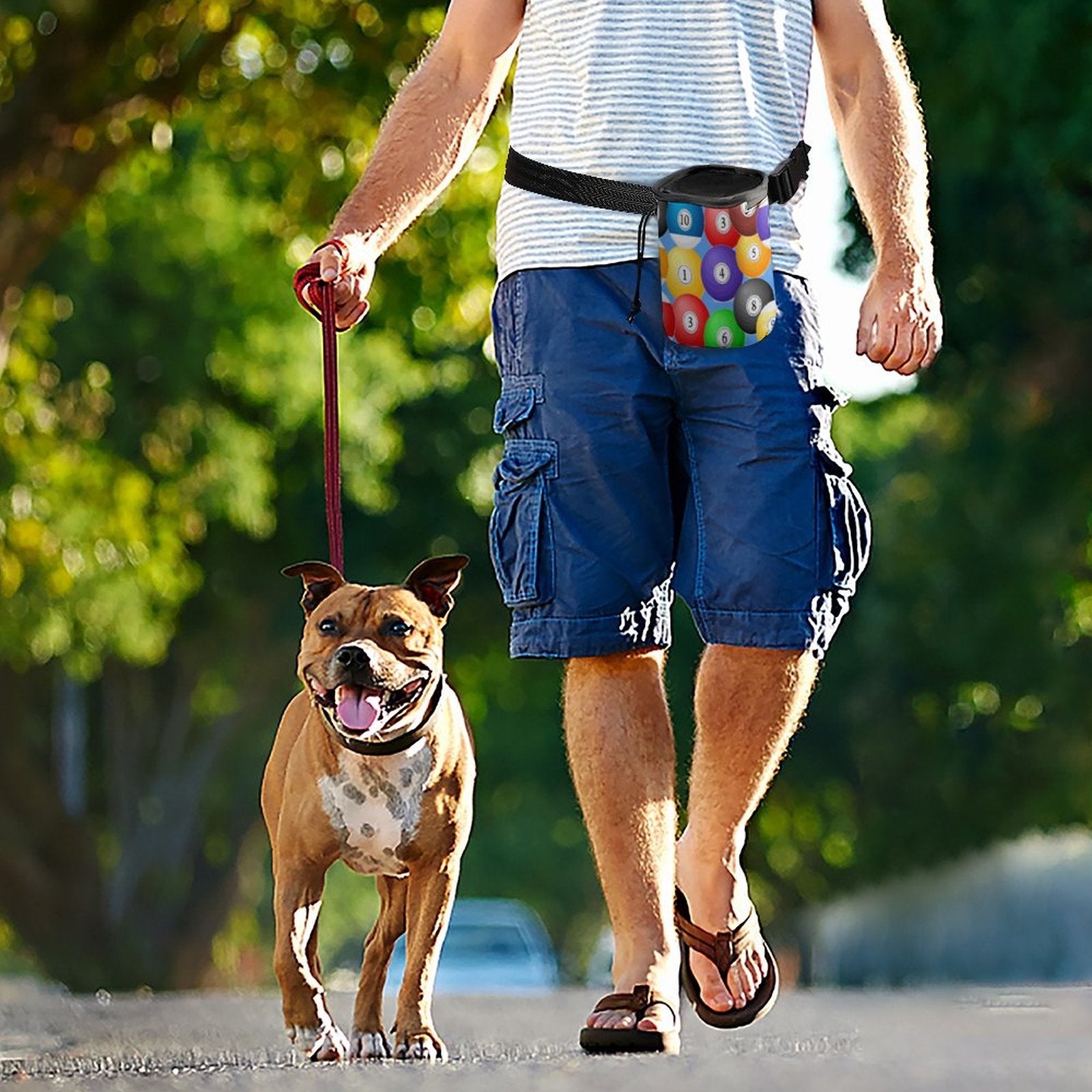 Pool Balls Collection: Dog Treat Training Bag