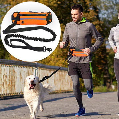 Pet Waist Leash with Purse